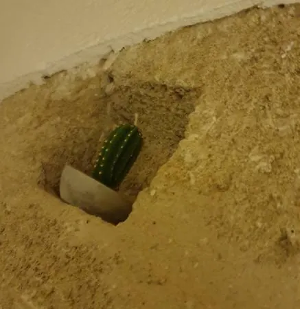 Apartament Le Antiche Dimore Di Dea Miggiano