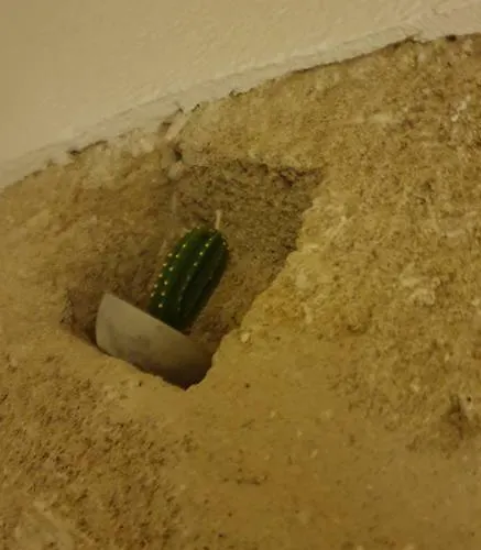 公寓 Le Antiche Dimore Di Dea Miggiano